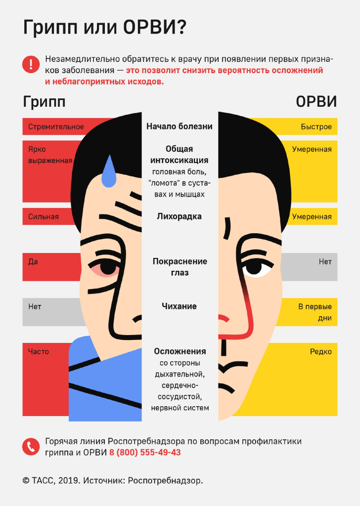 Различия гриппа и ОРВИ.jpeg