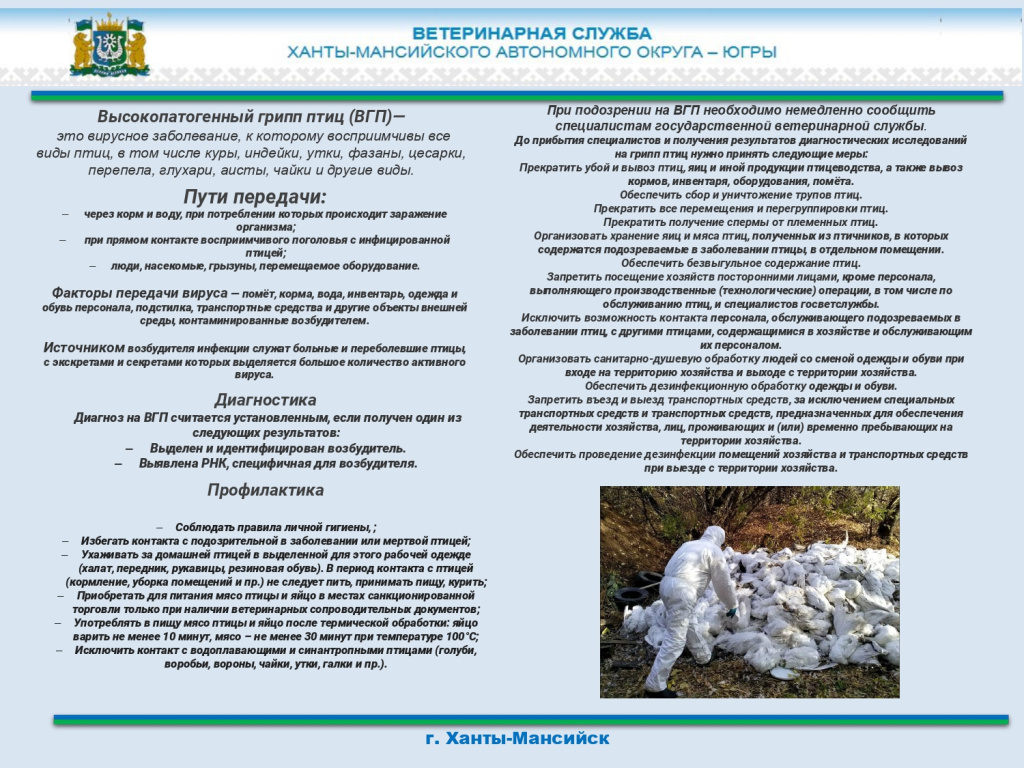 402932500_page-0002.jpg