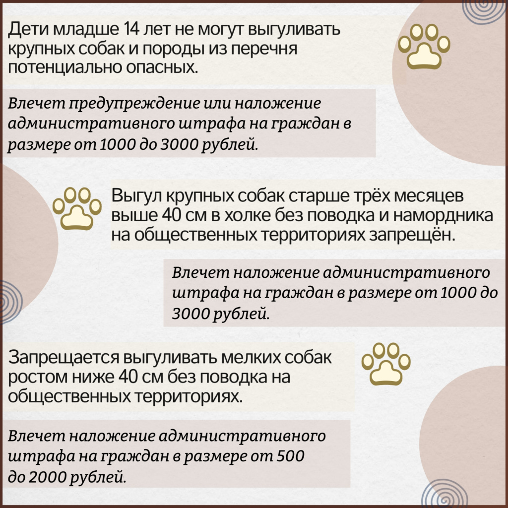 Памятка к выгулу домашних животных 3.jpg