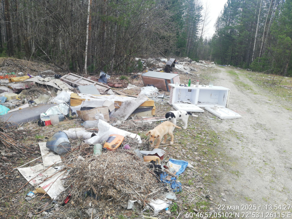 До 2.jpg