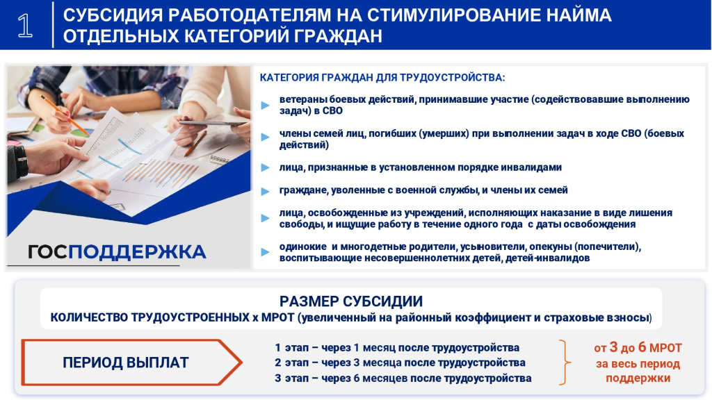 Субсидии СФР_page-0003.jpg
